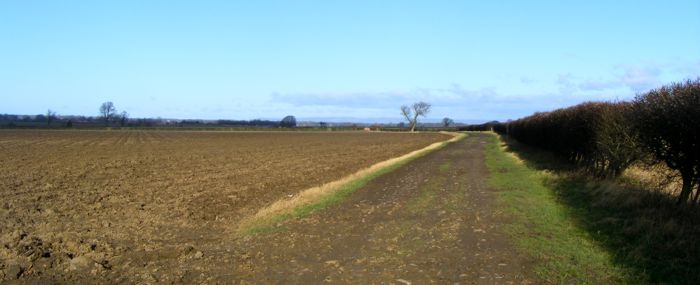The track to Tockwith looking towards the White Horse at Kilburn.