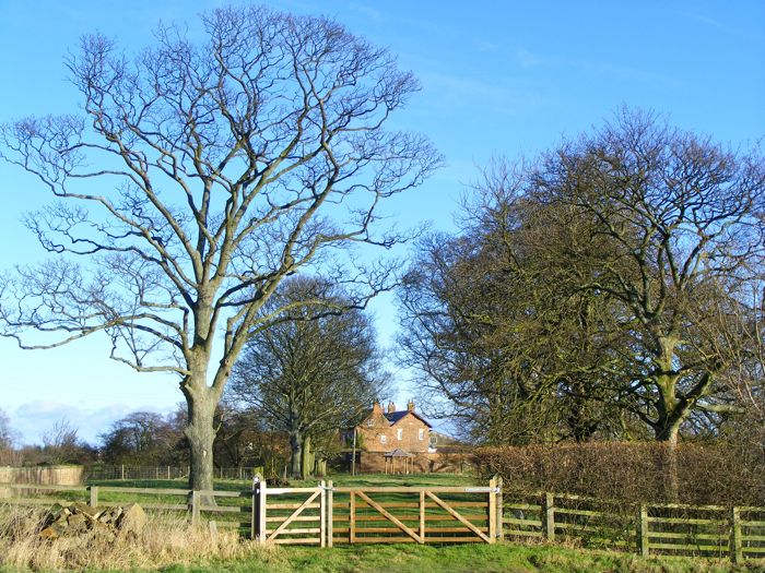 The track leading to Wilstrop Hall